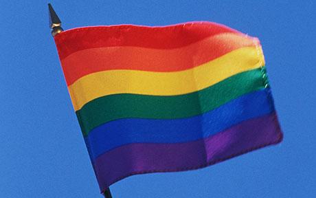 gay_pride_flag.jpg (14244 bytes)