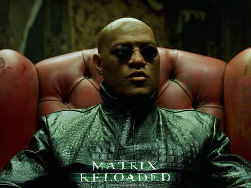 matrixreloaded.JPG (33066 bytes)