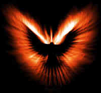 phoenix__150795.jpg (3844 bytes)
