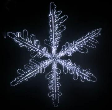 snowflake.JPG (6272 bytes)