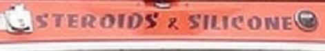 ss.JPG (6967 bytes)