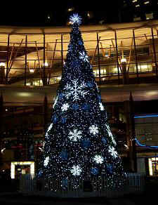 surreychristmastree3.JPG (38568 bytes)